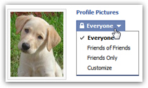 Change who can see your Facebook profile photo