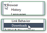 Customize download preferences in SeaMonkey