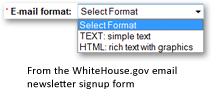 Marketing newsletter: choosing an email format