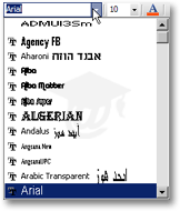 Formatting toolbar's Fonts drop-down menu in Outlook 2003