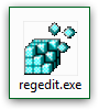 The Windows registry editor (regedit.exe)