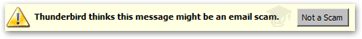 Thunderbird thinks it detected a scam email
