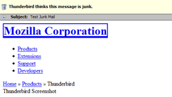 Thunderbird sees this email as junk