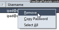 Delete stored passwords in SeaMonkey Mail