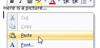 Insert a picture in your email by pasting