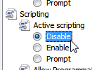 Disable all scripting in Internet Explorer 8 or IE 7