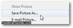 Download a picture / image to your computer in Internet Explorer 8