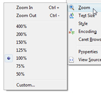 Zoom from the Internet Explorer menus