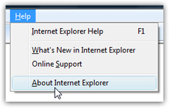 Check your Internet Explorer version