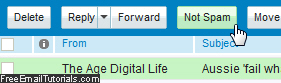 Mark an email as not spam in Yahoo Mail junk folder