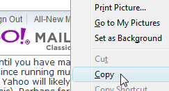 Copy a picture to insert in your email