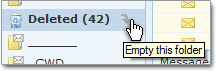 Empty the Deleted folder's email messages