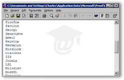 Editing the CUSTOM.DIC custom dictionary file in Outlook 2003