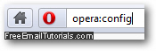 Access advanced settings and options in Opera 11