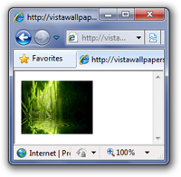 Auto image resize in Internet Explorer 8