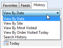 Sort Internet Explorer browsing history