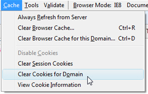 Clear cookie cache from Internet Explorer developer tools