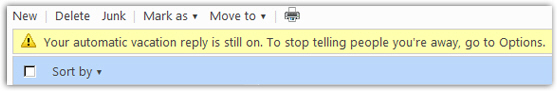 Windows Live Hotmail confirming that autoreplies are turned on